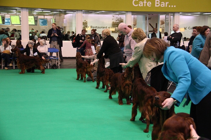 Crufts2011 432.jpg